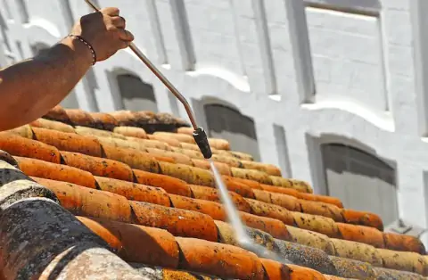 Nettoyage de toitures - Mexy